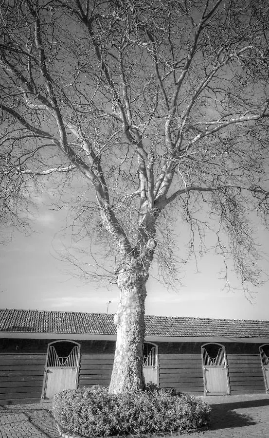 Bed & Breakfast Bed En Box 3610 Bed and Breakfast Oirschot
