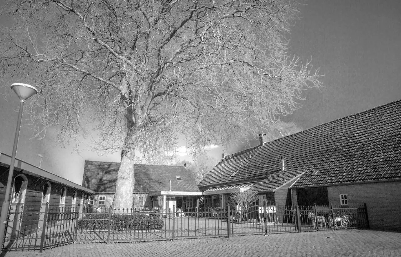 Bed En Box 3610 Bed & Breakfast Oirschot