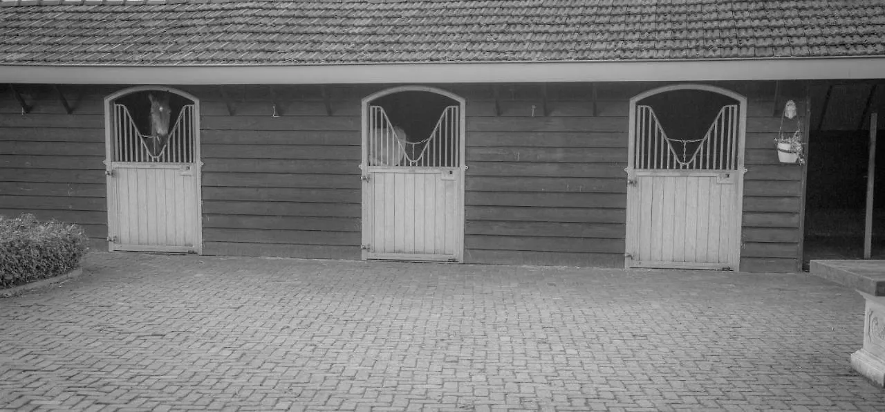 Bed En Box 3610 Bed & Breakfast Oirschot 0*,  Netherlands